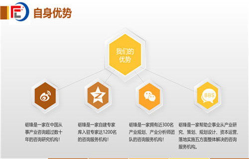 六安市社會(huì)穩(wěn)定風(fēng)險(xiǎn)分析評(píng)估報(bào)告（甲級(jí)）——社會(huì)經(jīng)濟(jì)咨詢服務(wù)的核心價(jià)值與實(shí)施路徑